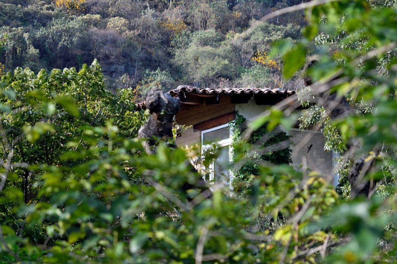 Quinta Cielo - Hotel Boutique Y Restaurante マリナルコ エクステリア 写真